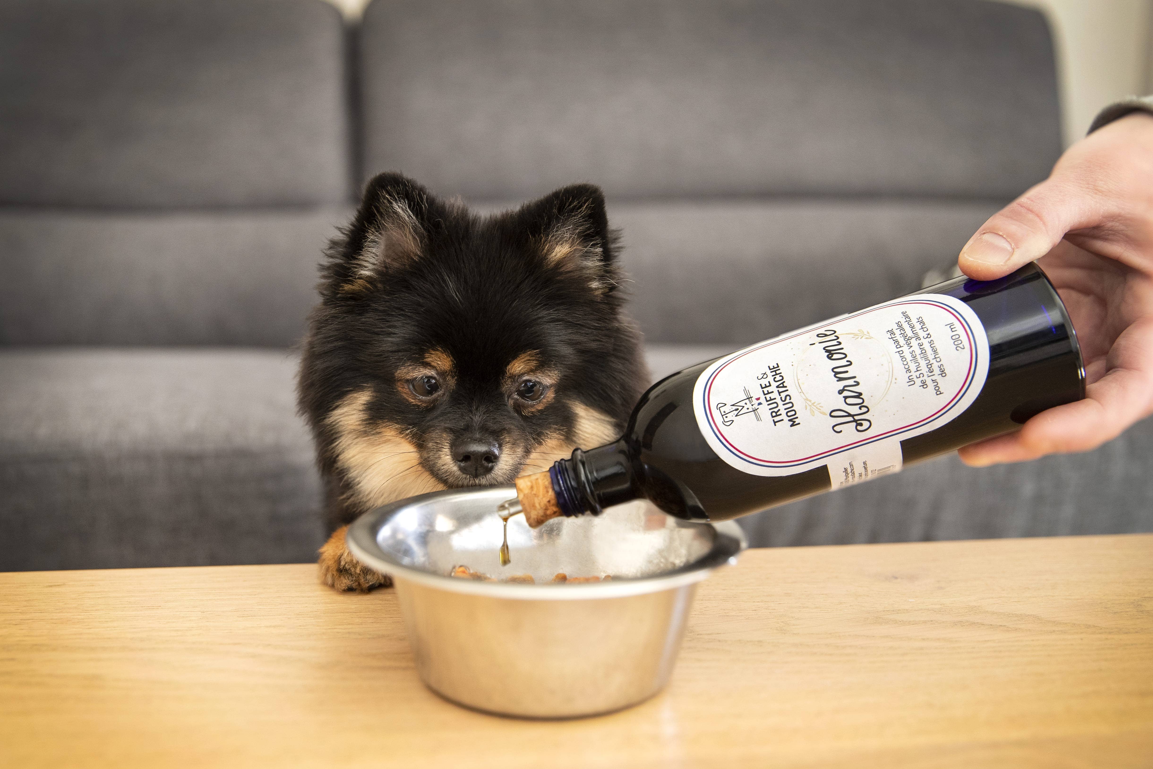 Truffe & Moustache - Wholesale Pet Supplement - Cat/Dog - Vegetable oil for dogs & cats, Omega 3 and 6, “Harmony”6