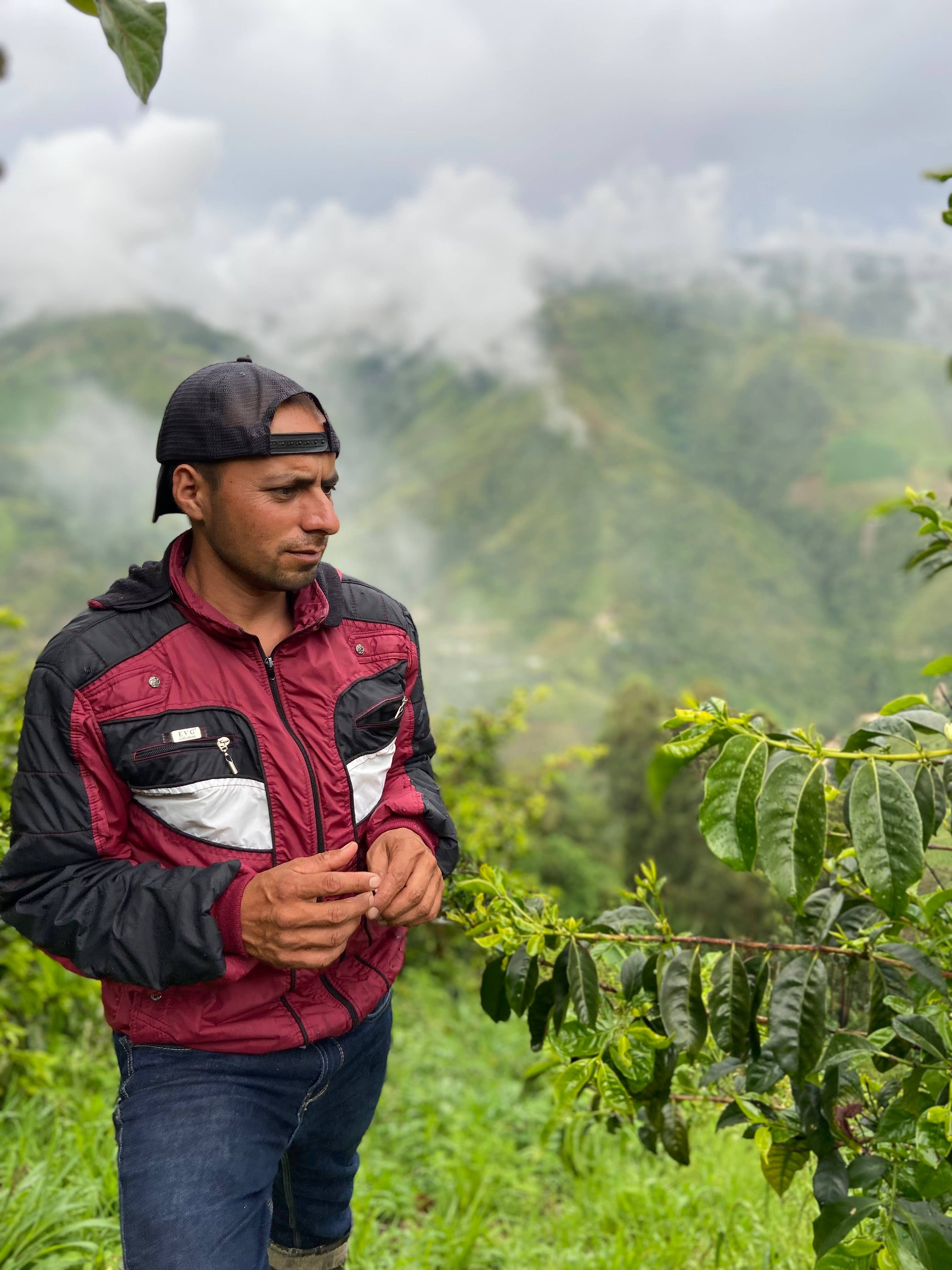 Yours Truly - Wholesale Coffee Beans - Liquid Love - Light Roast Juicy Coffee 300g or 5lbs2