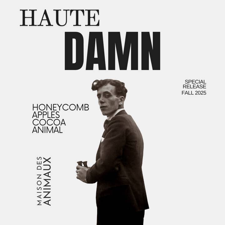 HAUTE DAMN for wholesale by Maison Des Animaux