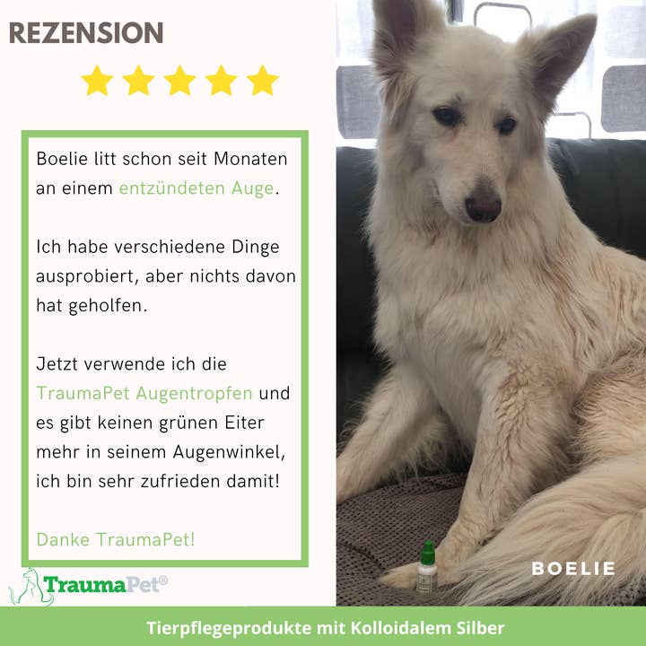 TraumaPet Deutschland - Wholesale Pet Supplement - Cat/Dog - Colloidal silver eye drops for animals2