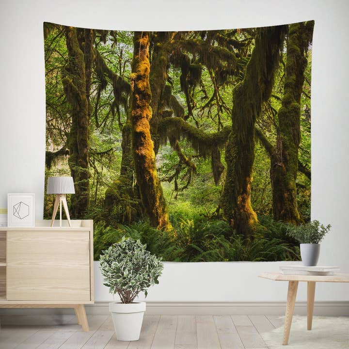 Hängande mossa skogsväggstapet, nordvästra Stilla havet, Olympic National Park för wholesale av lostkatphoto