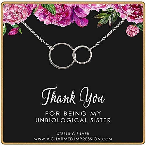 Unbiological Sister Gifts • Sisters Jewelry • Gifts for Best Friend • Christmas Gifts for Women • Sterling Silver Necklaces for 2 3 4 • Friendship Necklace • Birthday Gift • Gratitude and Appreciation for wholesale by A Charmed Impression