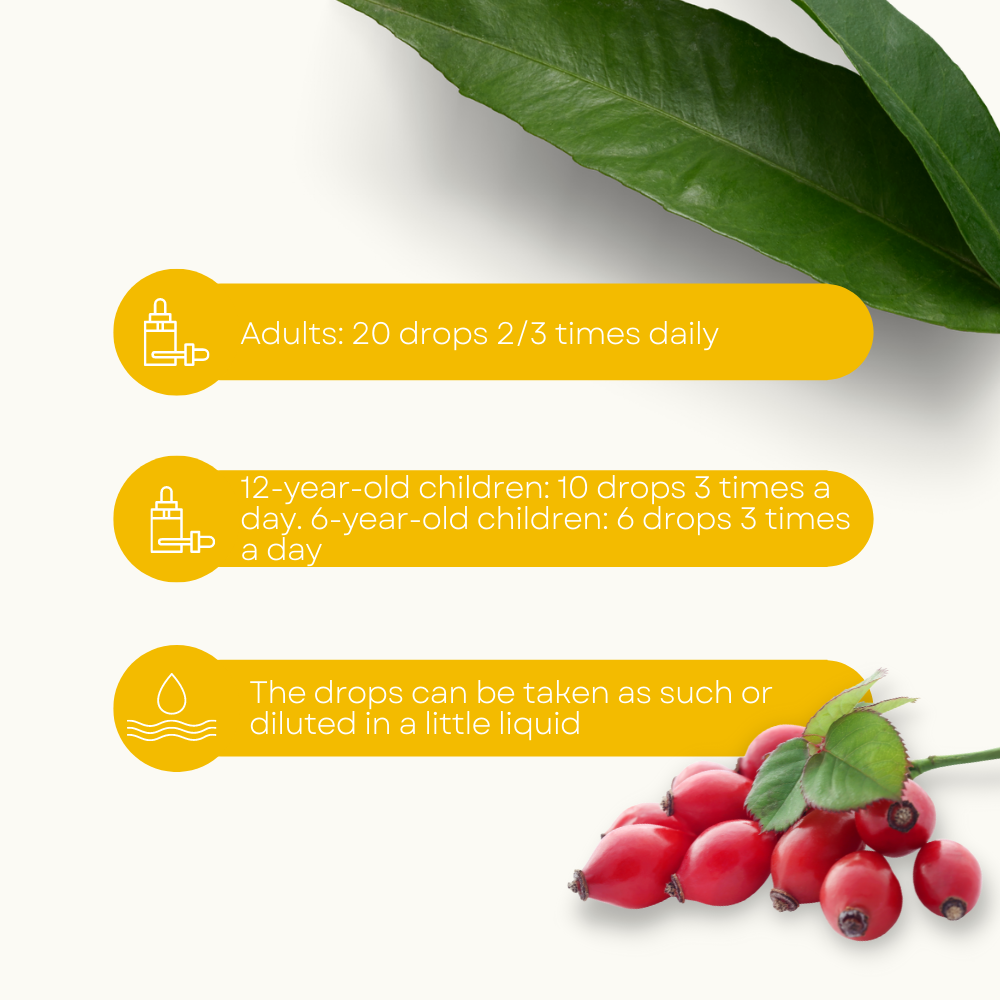 Lemuria - Vendita all'ingrosso Vitamine/integratori orali - Integratore di estratto totale di vitamina C - ROSA CANINA 30ml3