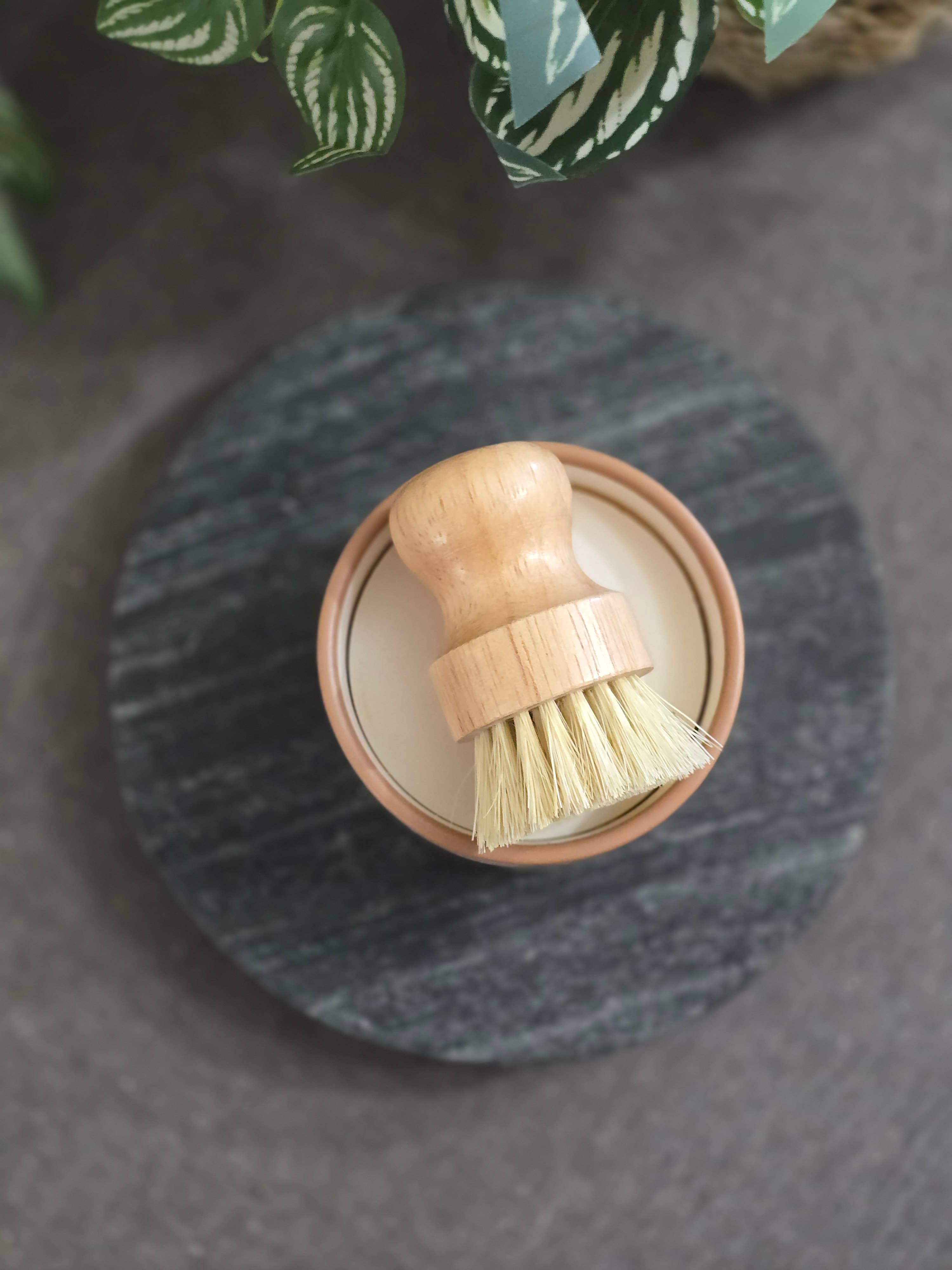 Rooted Essentials - Wholesale Dish Soap - Solid Dish Soap | Eco Dish Soap | Speckled Vanilla Ramekin1