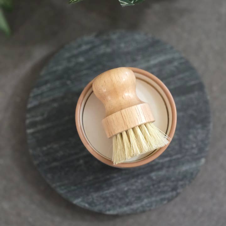 Rooted Essentials - Wholesale Dish Soap - Solid Dish Soap | Eco Dish Soap | Speckled Vanilla Ramekin1