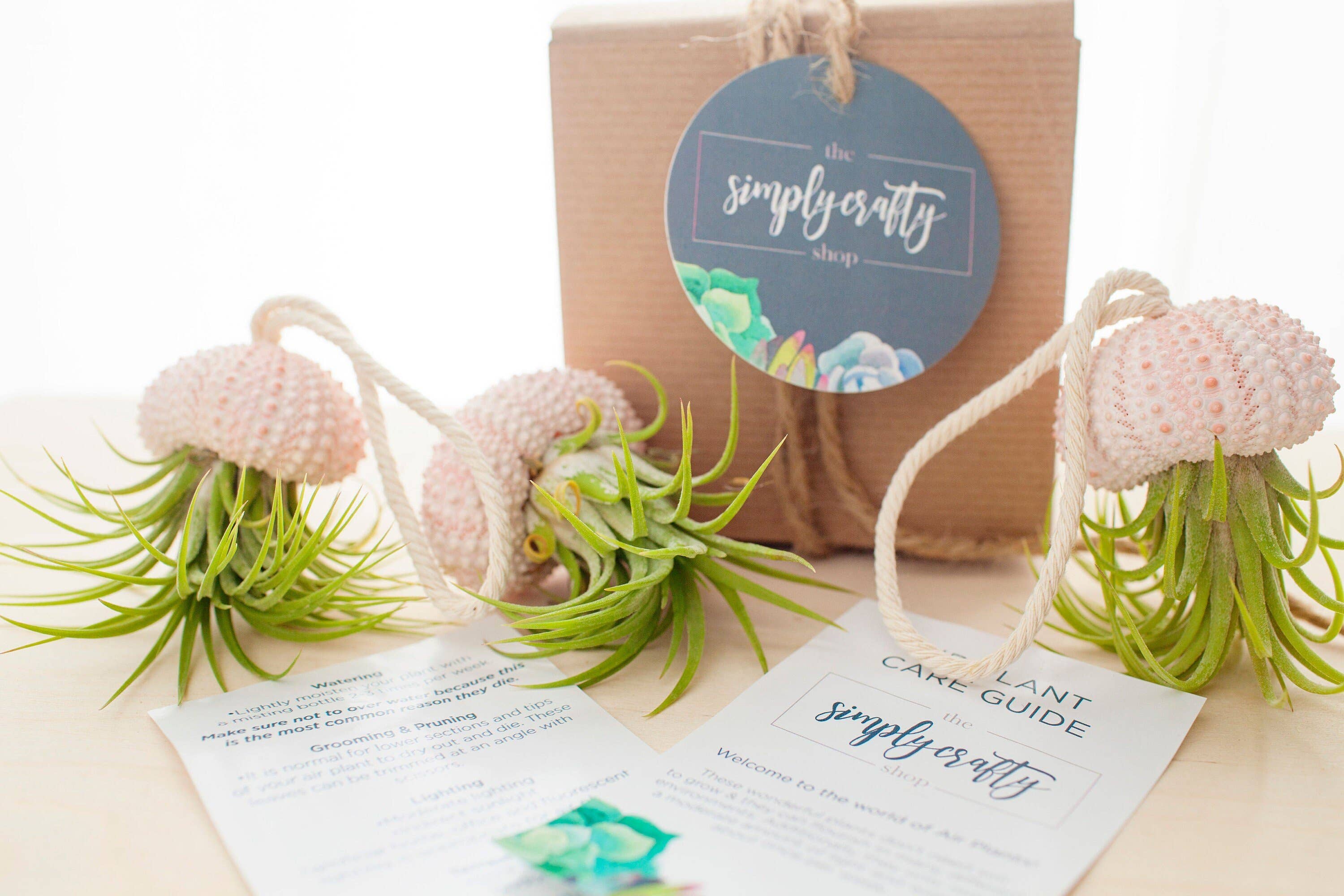 The Simply Crafty Shop - Wholesale Live Plant - Air Plant Jelly Fish on Rope2