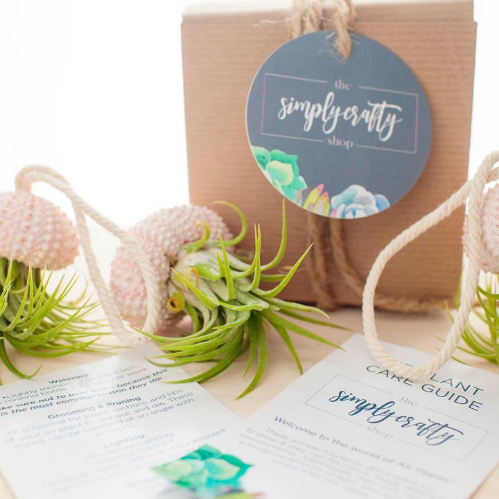The Simply Crafty Shop - Wholesale Live Plant - Air Plant Jelly Fish on Rope2