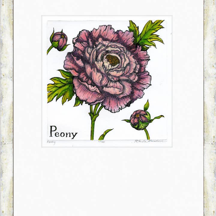 WVIN - Pæon for engroshandel hos Karla Gudeon Art & Design