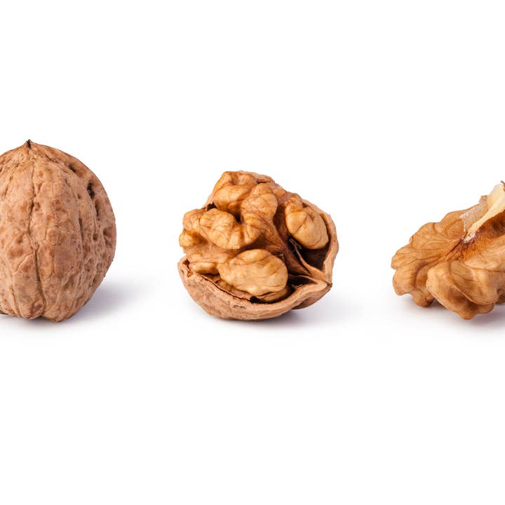 Noix décortiquées biologiques et autres tendances Résultats pour walnut shells en vente B2B. Retours gratuits et paiement à 60 jours sur Faire sur Faire.