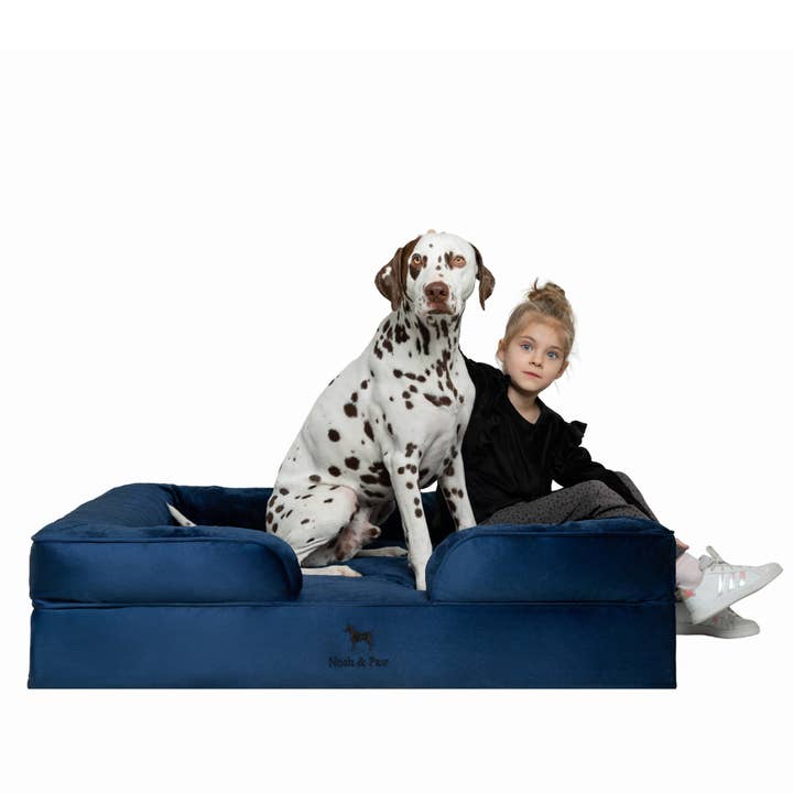 NOAH AND PAW LLC - Wholesale Bed voor huisdieren- Kat/hond - Velvet orthopedisch hondenbed met memoryfoam en verkoelende gel21