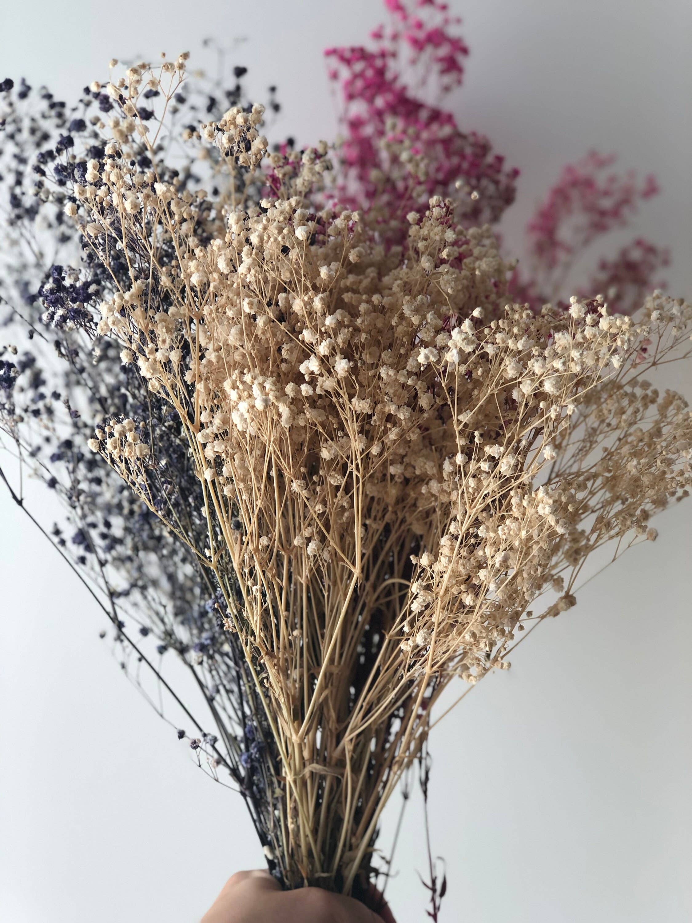 MY BOUQUETS – wholesale Dried/pressed flowers – Baby's Breath, Gypsophila Preserved Pink Color, Dried Flower3