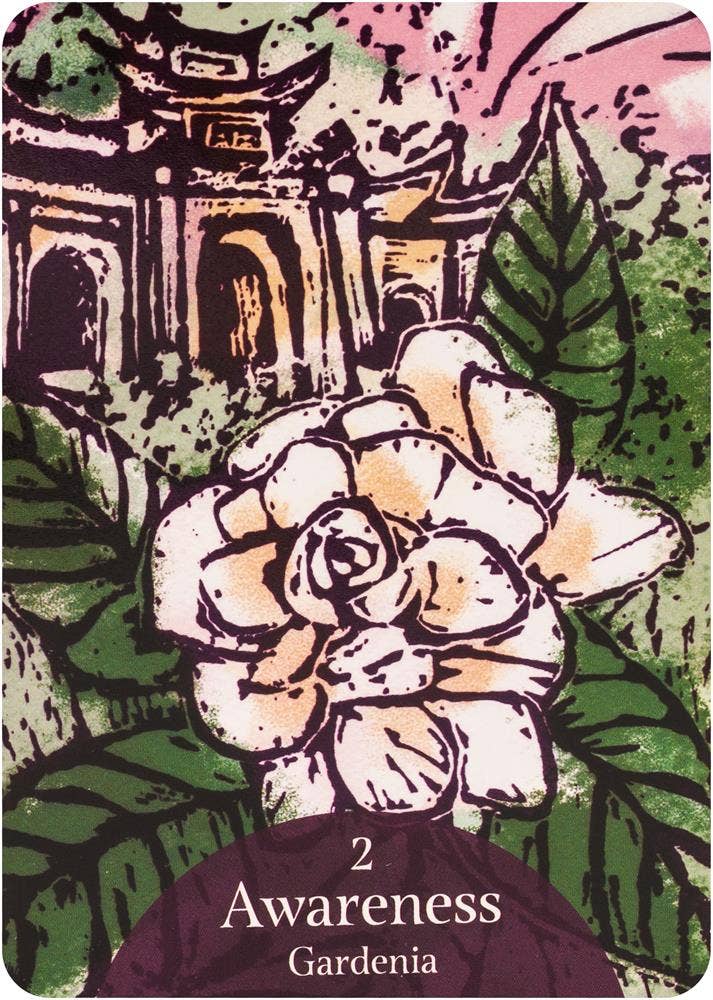 Cardshouse - Wholesale Tarot Cards - The Language Of Flowers Oracle Cards Rockpool3