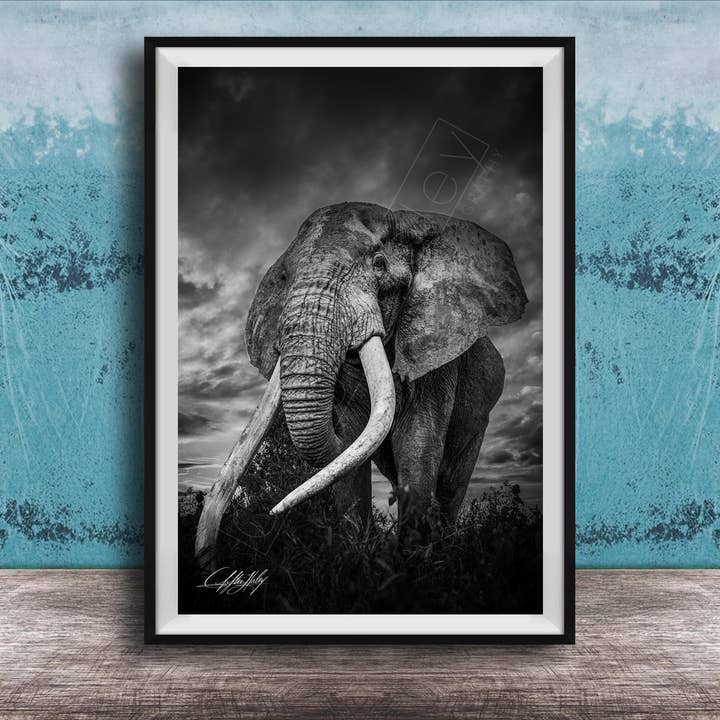 Art mural éléphant - Grand Tusker - Toile pour la vente par Clifton Haley Photography