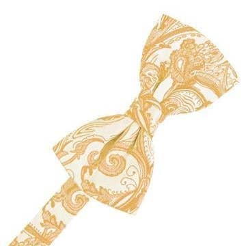Apricot Tapestry Bow Ties for wholesale by Timpano Direct