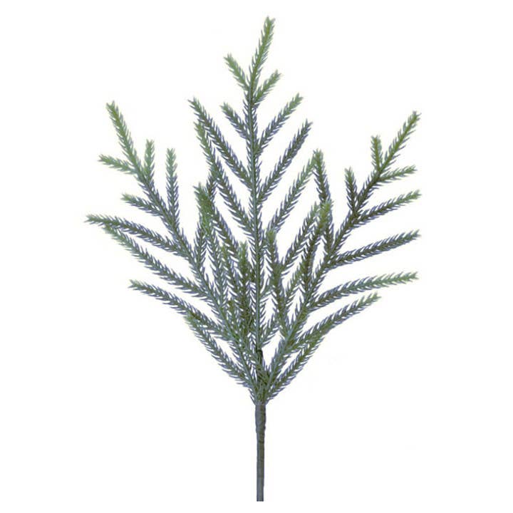 Will's Company - Wholesale Artificial Plant - Artificial Natural Touch Norfolk Pine Pick - Sage, 16"0