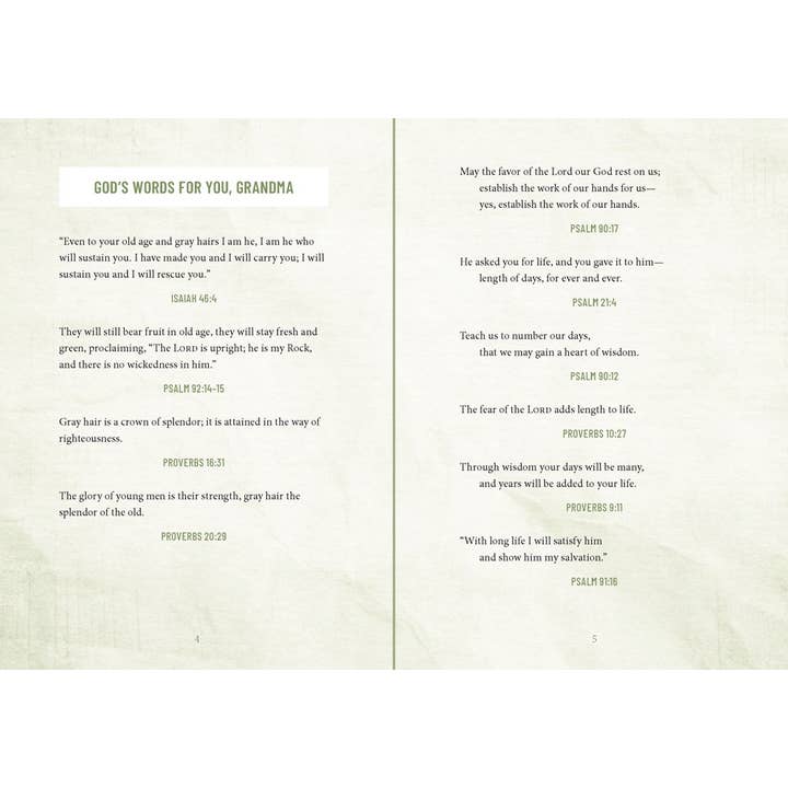 HarperCollins Christian Publishing - Wholesale Religion - Devotions For Grandmas2