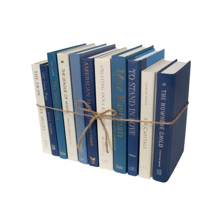 Decorative Blue Book Bundle - Coastal Shores for wholesale by Booth & Williams