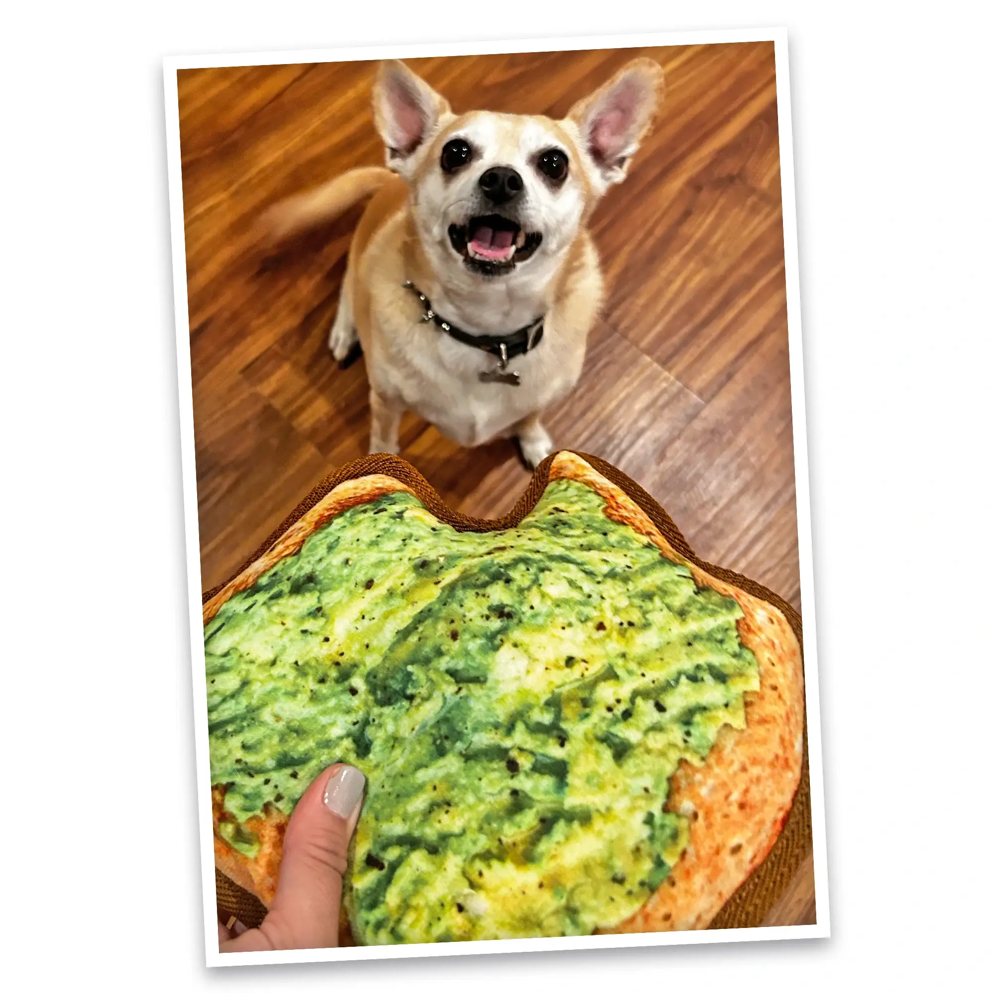 Doggijuana - Wholesale Pet Toy - Dog - Tuffer Chewer Avocado Toast Refillable Dog Toy5