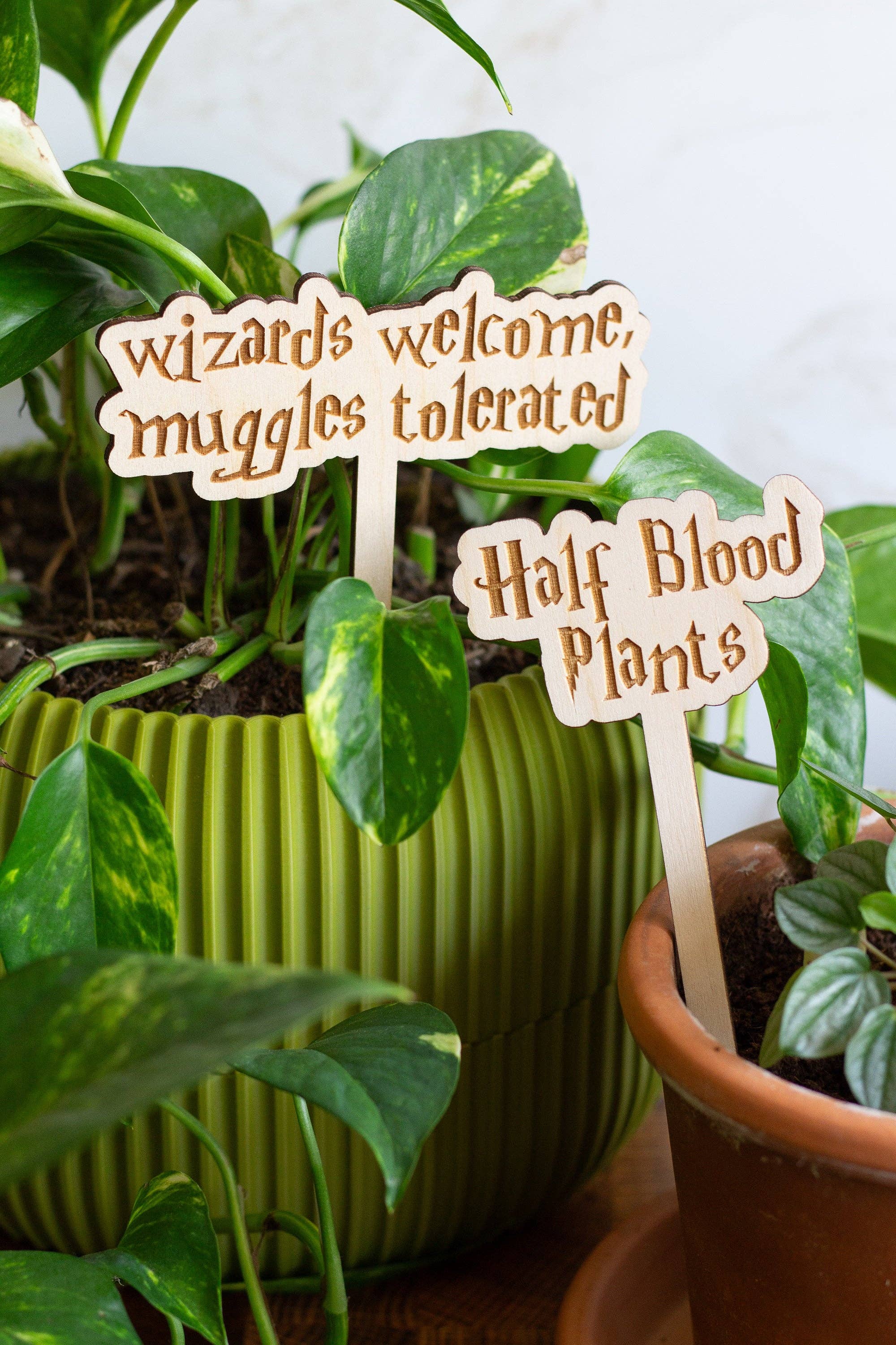 The Print Pantry - Wholesale Garden/Lawn Stake - Harry Potter Wooden Plant Markers6