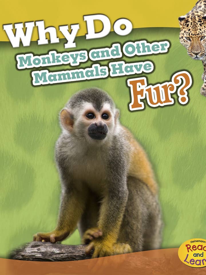 Why Do Monkeys and Other Mammals Have Fur? for wholesale by Capstone