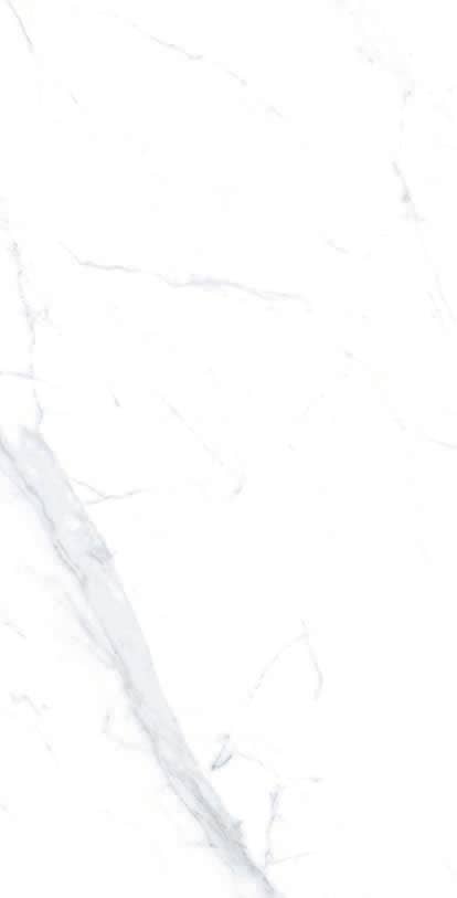 Thomas Avenue Ceramics - Wholesale Wall Tile - 12"x24" Porcelain Calacatta Cool Floor and Wall Tile6