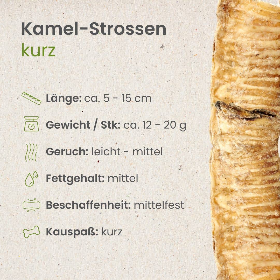 Kauartikel.com GmbH - Wholesale Pet Bone/Rawhide - Dog - camel stopes, short2