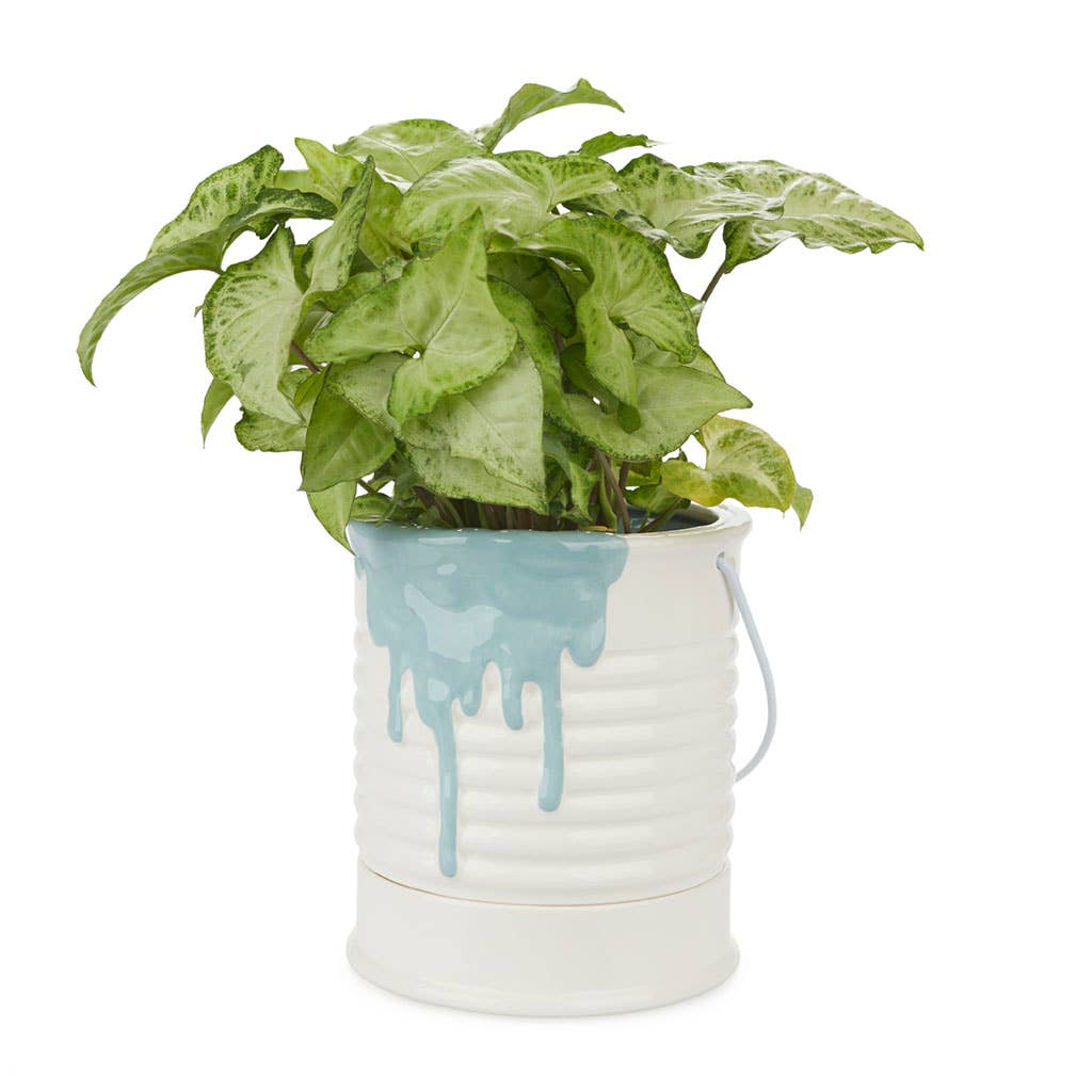 Balvi - Wholesale Plant Pot - Painty flowerpot blue 2X16cm1