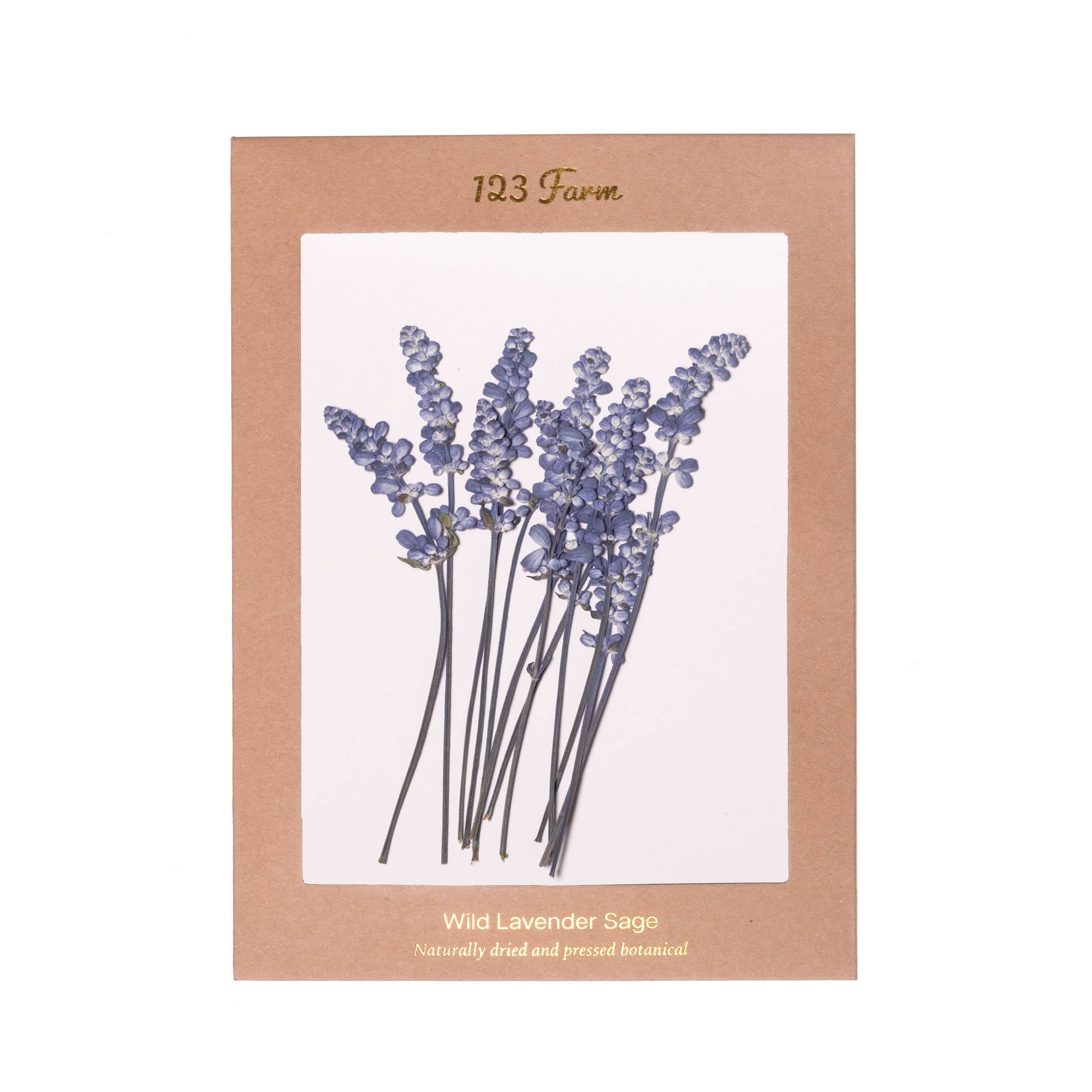 123 Farm - Wholesale Dried/pressed flowers - Wild Lavender Sage - Naturally Dried and Pressed Botanical