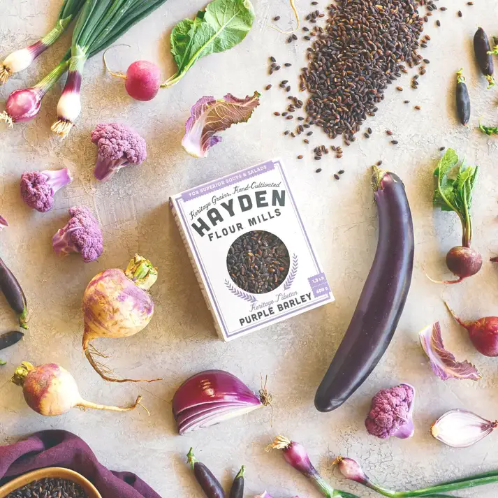 Hayden Flour Mills - Wholesale Whole Grains - Purple Barley Berries1