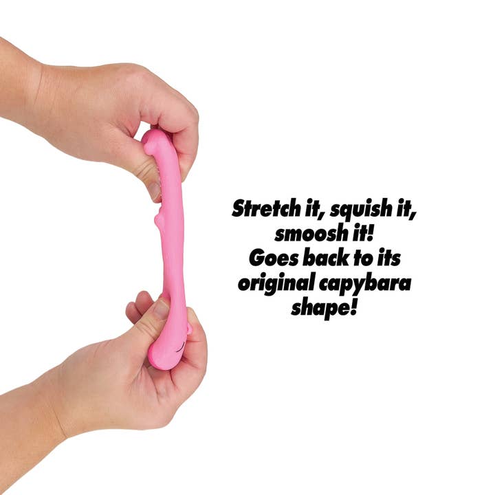 Geddes - Wholesale Squishy Toy - Kids & Baby - CAPYBARA TOY 12/DSP5