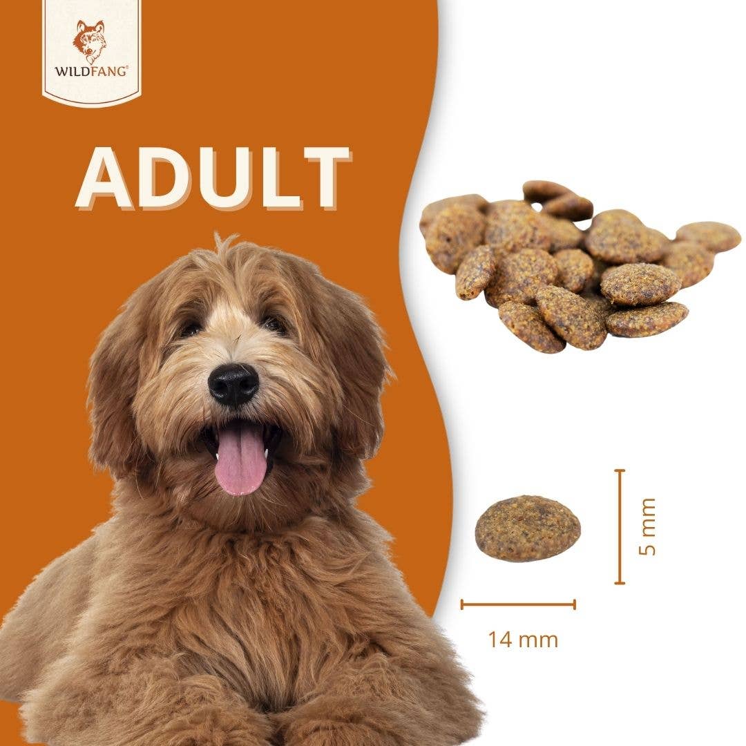 WILDFANG - Wholesale Pet Food - Dog - Adult dry food saver pack 2 x 2 kg with chicken & herbs - grain-free5