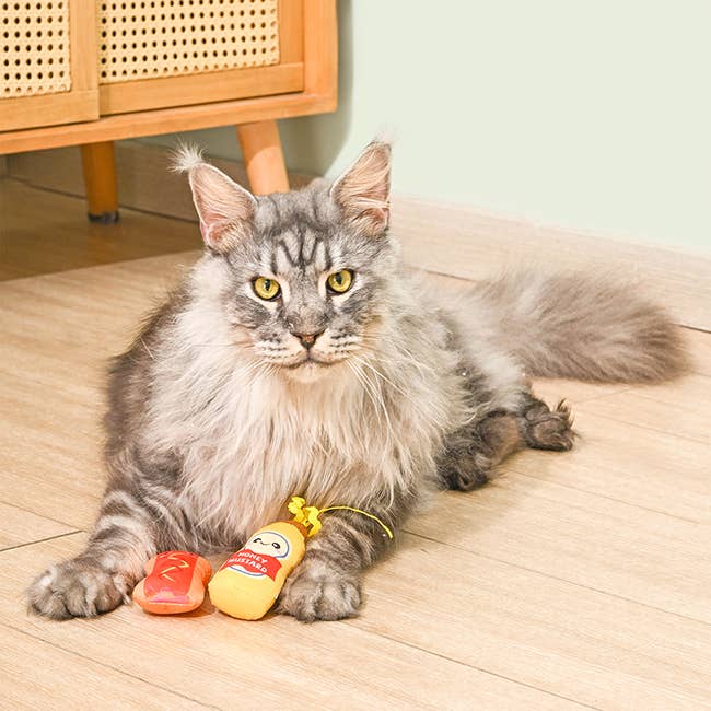 Hugsmart Products Inc - Wholesale Pet Toy Set - Cat - HugSmart Pet - Kitten Party | Foodie Feline - Cat Toy