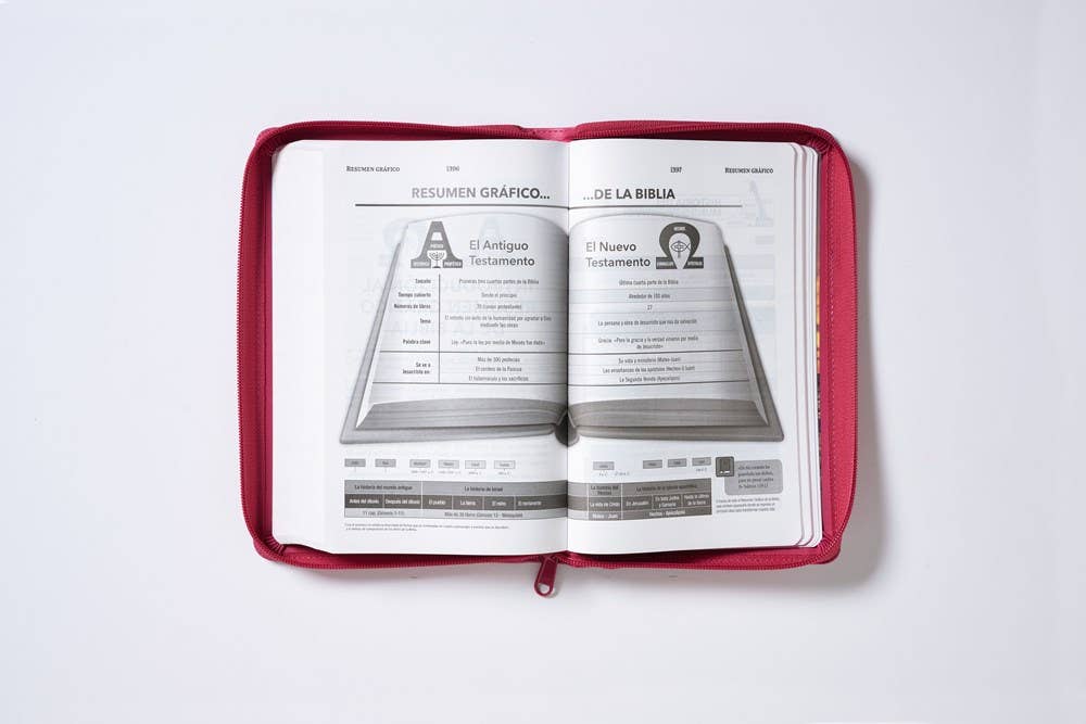 HarperCollins Christian Publishing - Wholesale Religion - RVR60, Santa Biblia, Tierra Santa, Ultrafina, Letra grande17