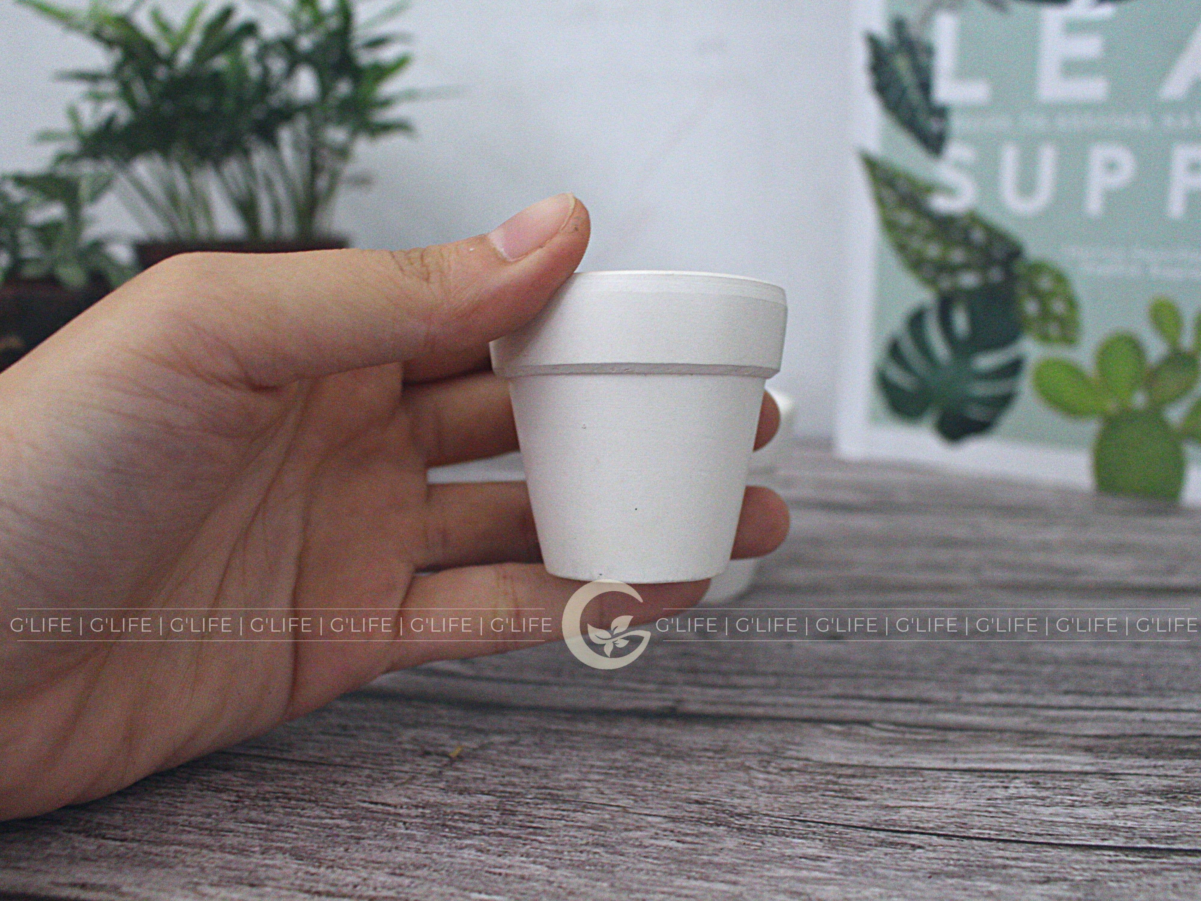 GLifee - Wholesale Plant Pot - 2" Tiny Terracotta Clay Plant Flower Pot - Drainage Hole19