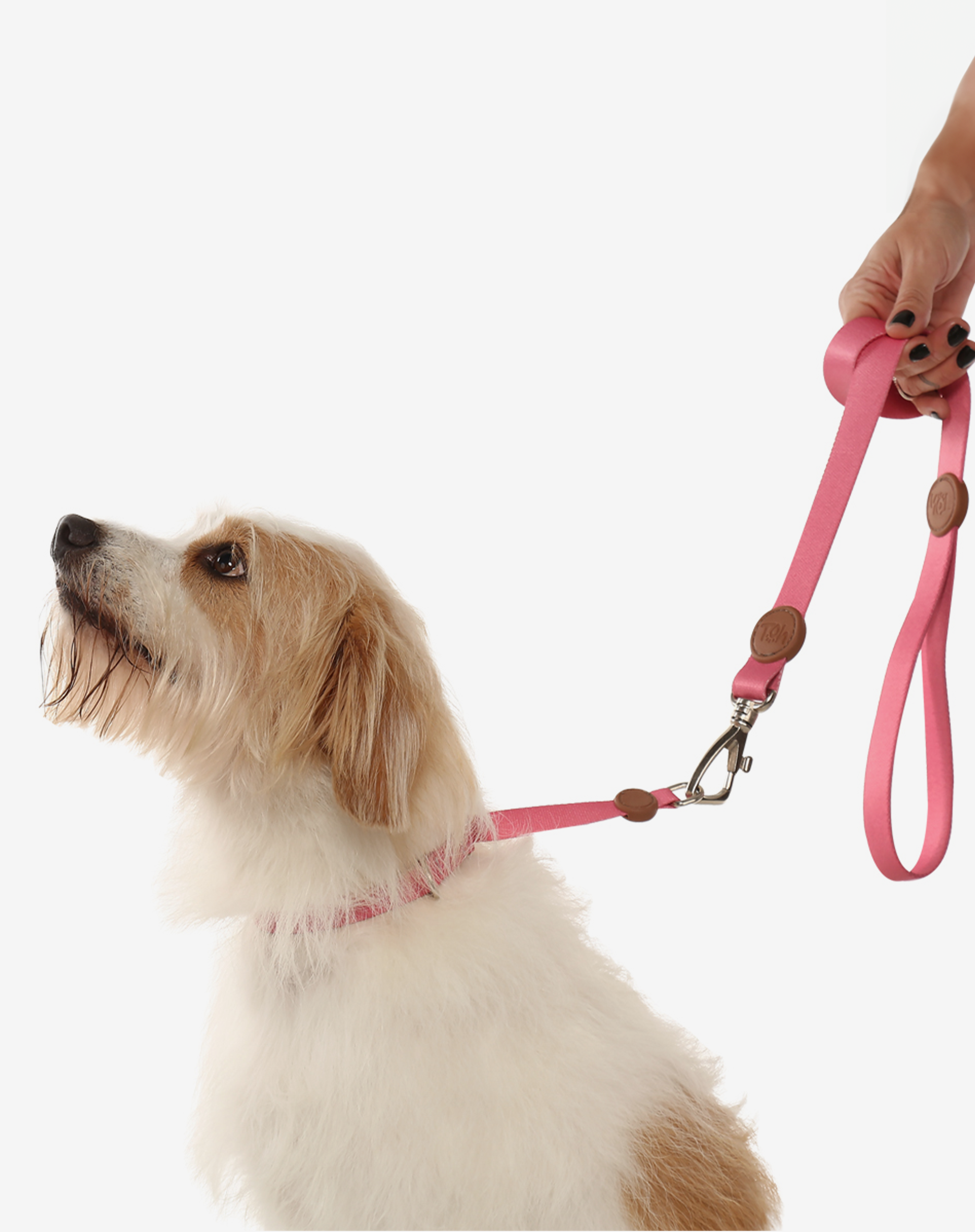 Toh - Wholesale Pet Leash - Dog - Trela para Cão S Fiji3