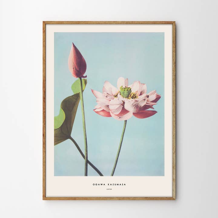 Ogawa Kazumasa, Lotus and other Purchase Wholesale kaffe og te. Free Returns & Net 60 Terms on Faire trending on Faire.