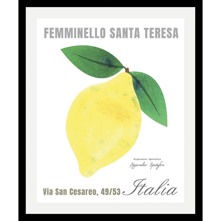 Bildram - Femminello Santa Teresa för wholesale av Queence