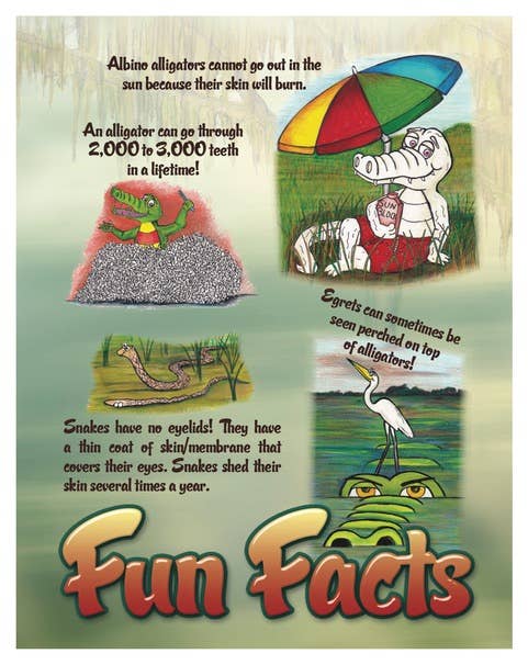 Apple Pie Publishing - Wholesale Early Reader Book (6-8) - 8” x 10” Tator's Swamp Fever Children's Book6