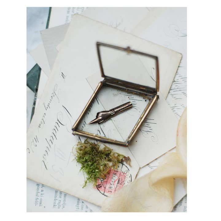 Exaclair - Wholesale Pen - Brause Calligraphy Nib #29 "Index Finger" - Box of 32