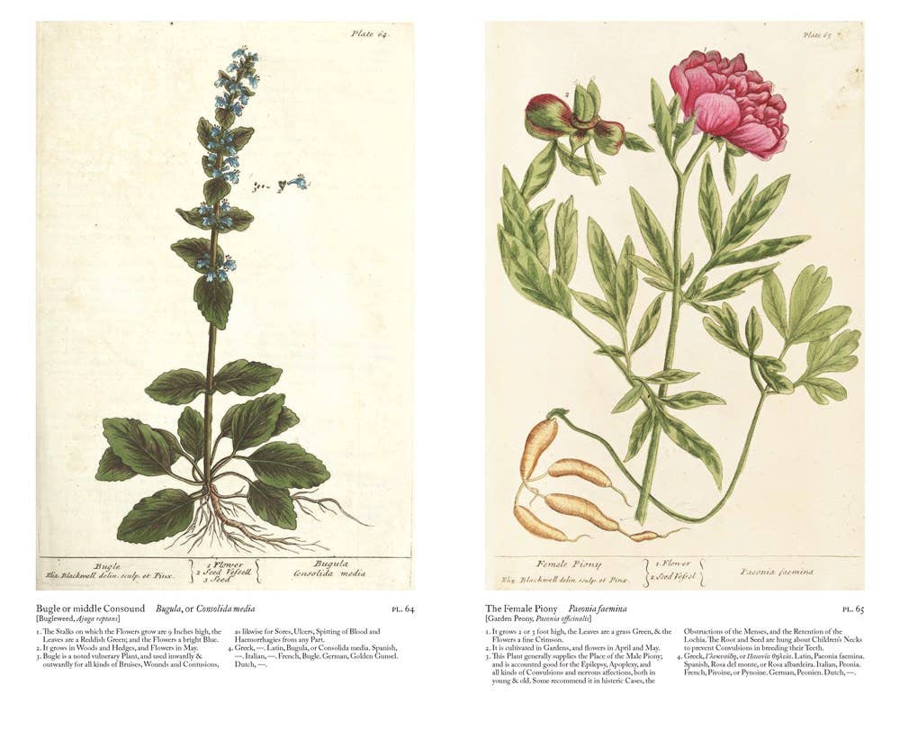 W. W. Norton - Wholesale Nature & Outdoors - A Curious Herbal: Elizabeth Blackwell's Pioneering7