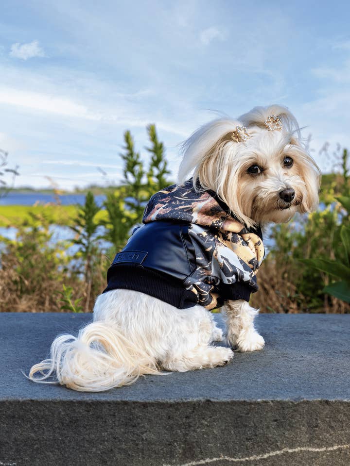 SWEAT À CAPUCHE pour la vente par Maxine Avenue NYC by Funari