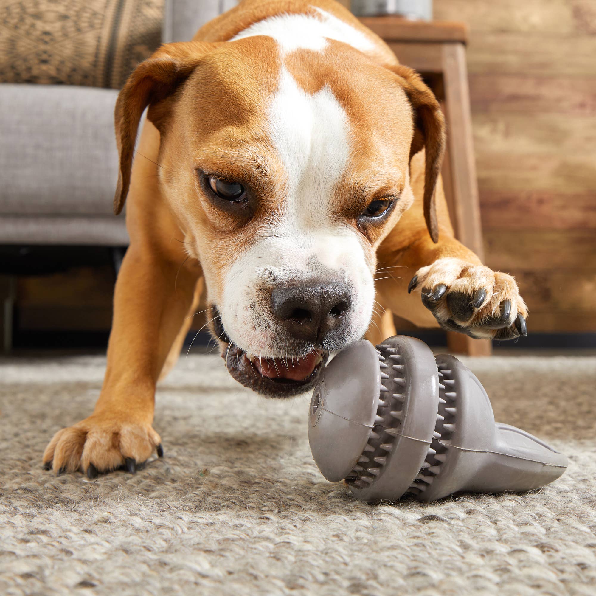 Pet Palette Distribution - Wholesale Pet Chew Toy - Dog - BARK Hare Raiser Rabbit Rubber Super Chewer Dog Toy Grey Med4