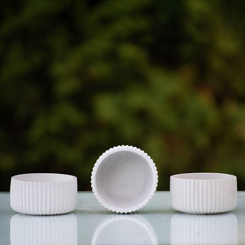 Bella Home Garden Decor - Wholesale Plant Pot - Succulent Mini Pot Striped Base1