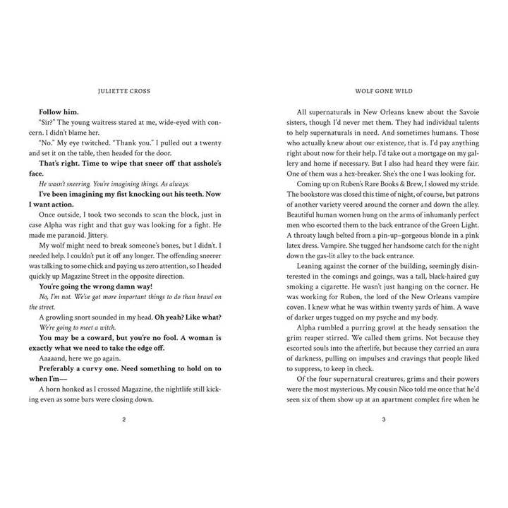 Hachette Book Group - Wholesale Fantasy - Wolf Gone Wild: Stay A Spell Book 12