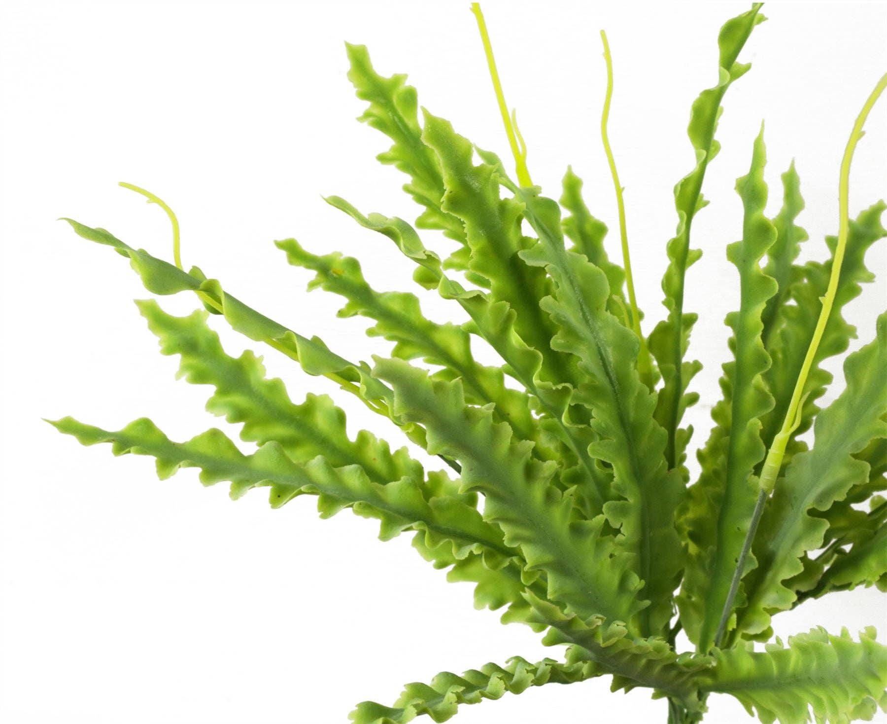 Leaf Design UK LTD – wholesale Konstgjord växt – Fern Växt Artificiell Realistisk 40cm Artificiell1