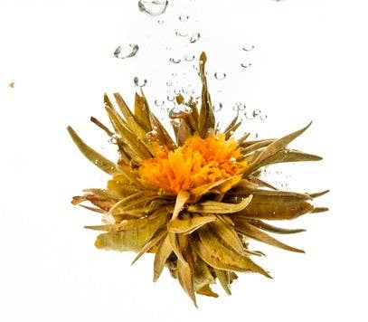 Tea Tonic - Wholesale Health/Detox Tea - Flowering Tea Ball "Golden Fortune"2