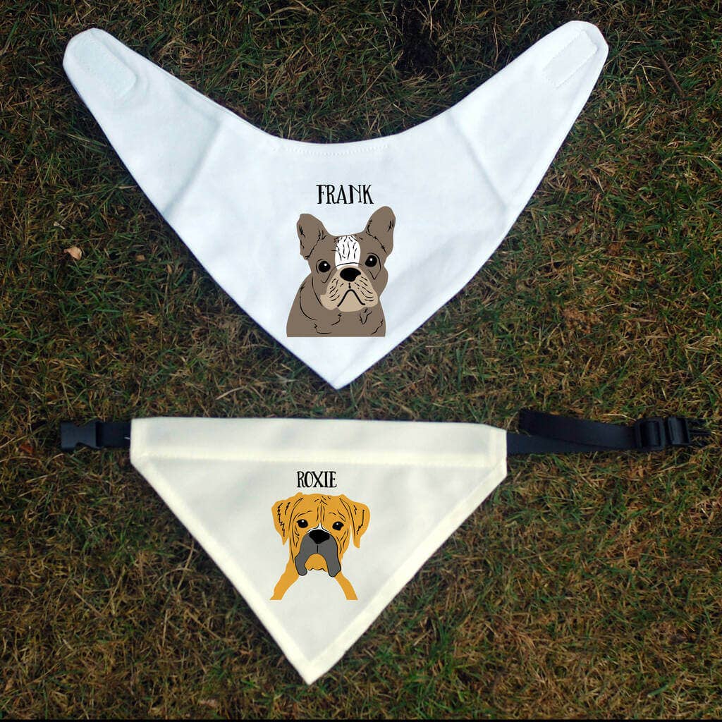 Afewhometruths - Vente Distributeur de sacs à déjections canines - Kit personnalisé pour papa promeneur de chien10