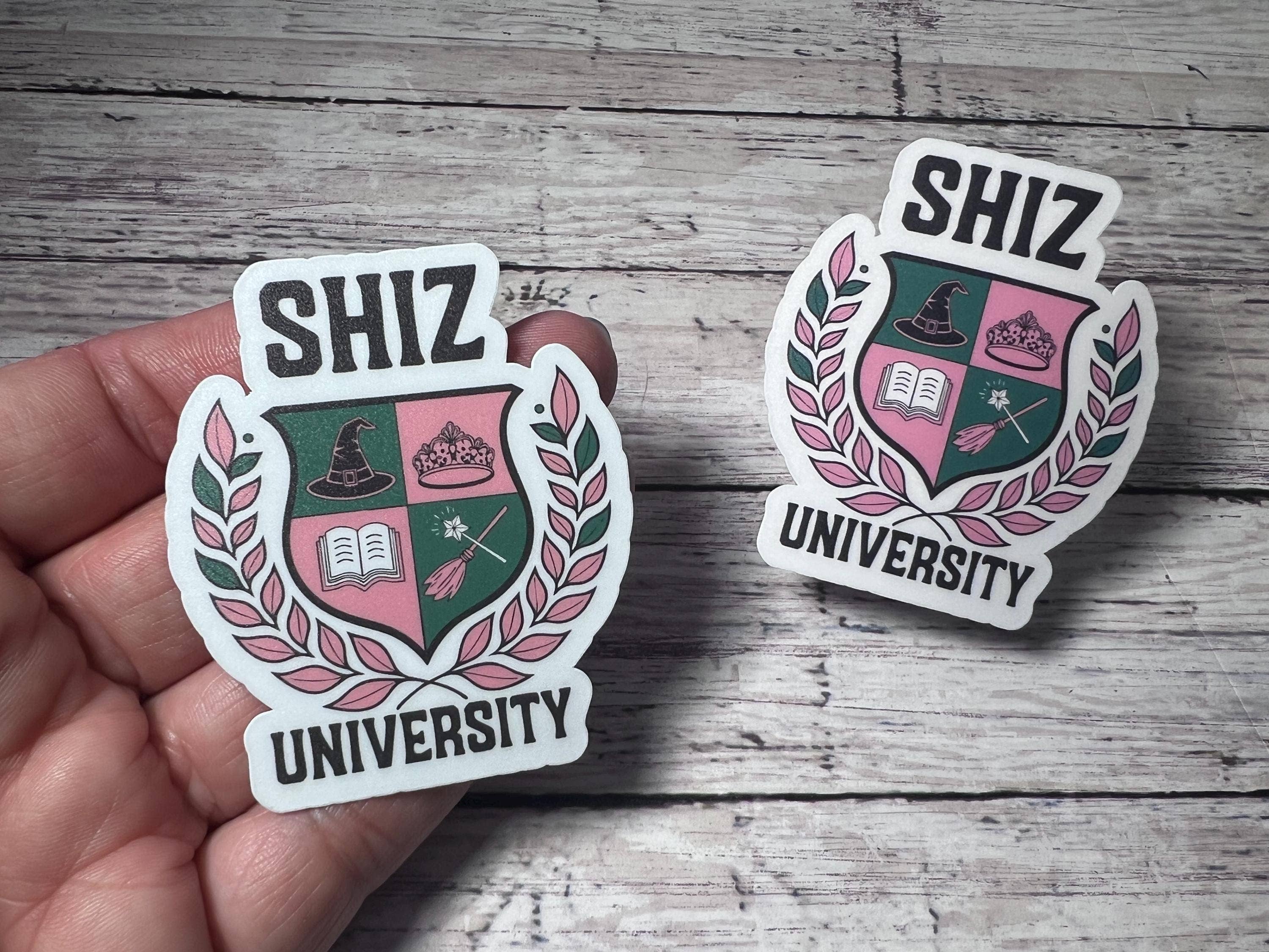 The Teaching Duo - Vendita all'ingrosso Adesivo - Set di adesivi e merchandising ispirato a Elphaba e Glinda di Wicked4