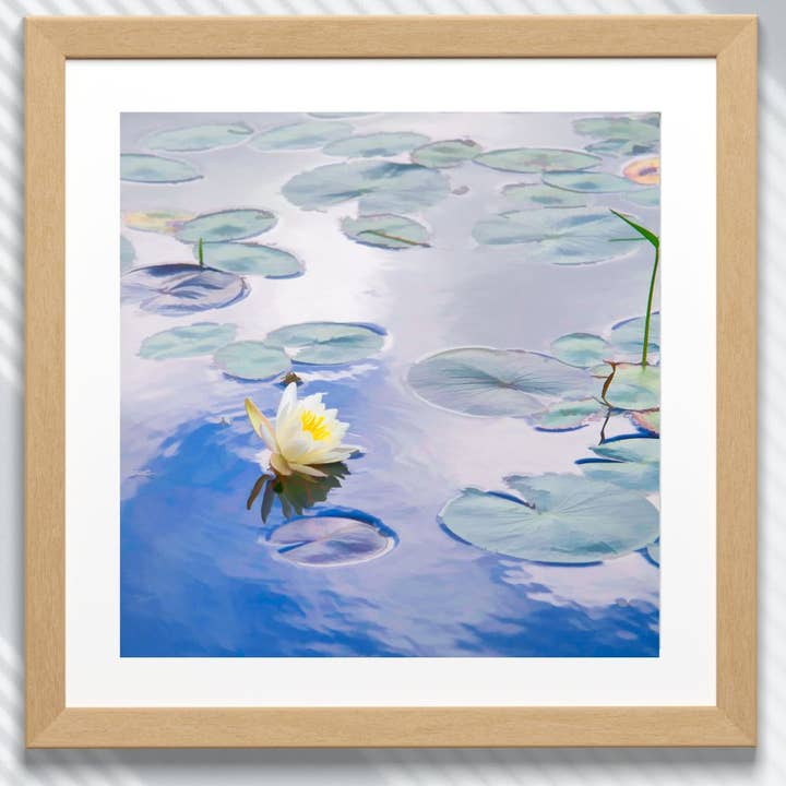 Fine Art Giclee Print - Lily Pads on a Local Pond for wholesale by Natalie’s Art