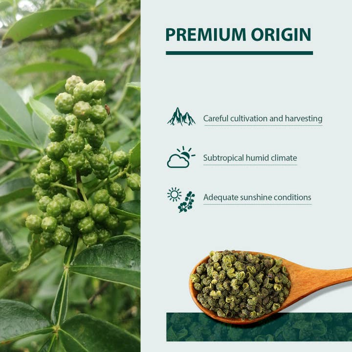 soeos – Pimenta por atacado – Soeos Pimenta Verde4